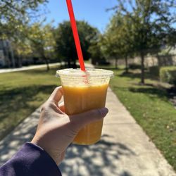 Smoothie Factory - The Energizer