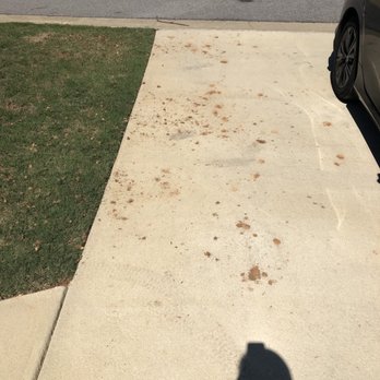 TruGreen Lawn Care - More dirt plugs left in driveway. - Tree Services Near Me - Birmingham, Alabama TruGreen Lawn Care - More dirt plugs left in driveway. - Tree Services Near Me - Birmingham, Alabama