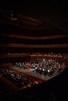 Orlando Philharmonic Orchestra by null