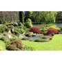 Schlafert Landscaping and Gardening
