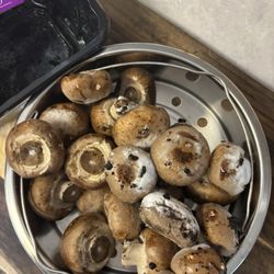 Ramey's Marketplace - Gautier - Molded mushrooms from Rameys
