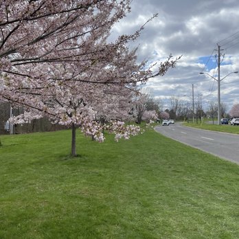 Centennial Park - Parks Near Me - Etobicoke, Ontario