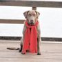 Photo of Red River Obedience Training Club