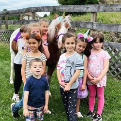 Pied Piper Pony Rides and Petting Zoo