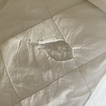 The Allred - Holes in dingy bedding - Hotels Near Me - Newport, Oregon The Allred - Holes in dingy bedding - Hotels Near Me - Newport, Oregon