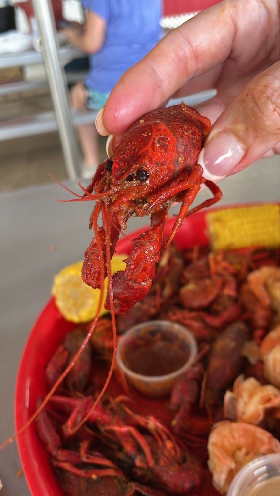 Crawdaddy's Boil-n-Go Logo
