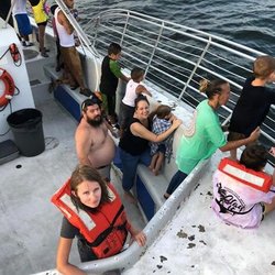 Dolphin Express