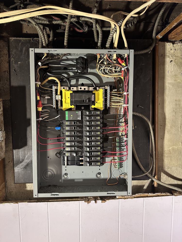 Slide of Seba’s Plumber