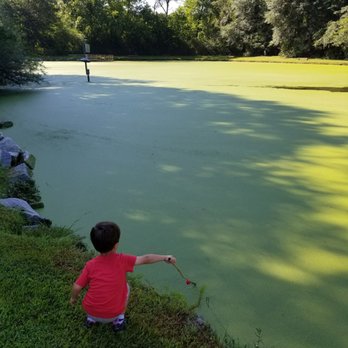 Buford Trout Hatchery - Family fishing pond - Fishing Near Me - Cumming, Georgia