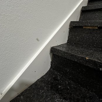 Garage Experts - Paint on walls - Flooring Near Me - Jacksonville, Florida Garage Experts - Paint on walls - Flooring Near Me - Jacksonville, Florida