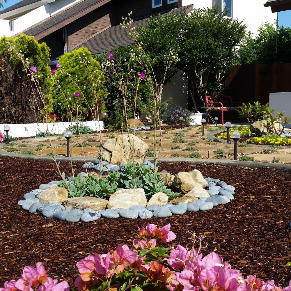 Smart Landscape - Muchos colores!! - Landscaping Near Me - San Diego, California Smart Landscape - Muchos colores!! - Landscaping Near Me - San Diego, California