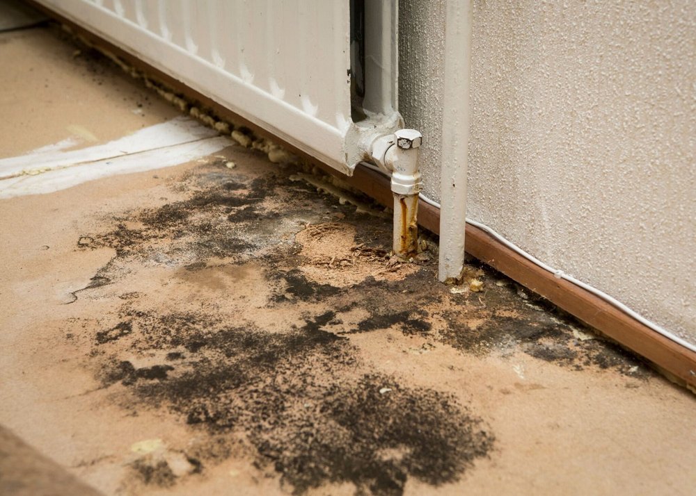 Mills Mold Inspections - mold inspector in Concord, NC