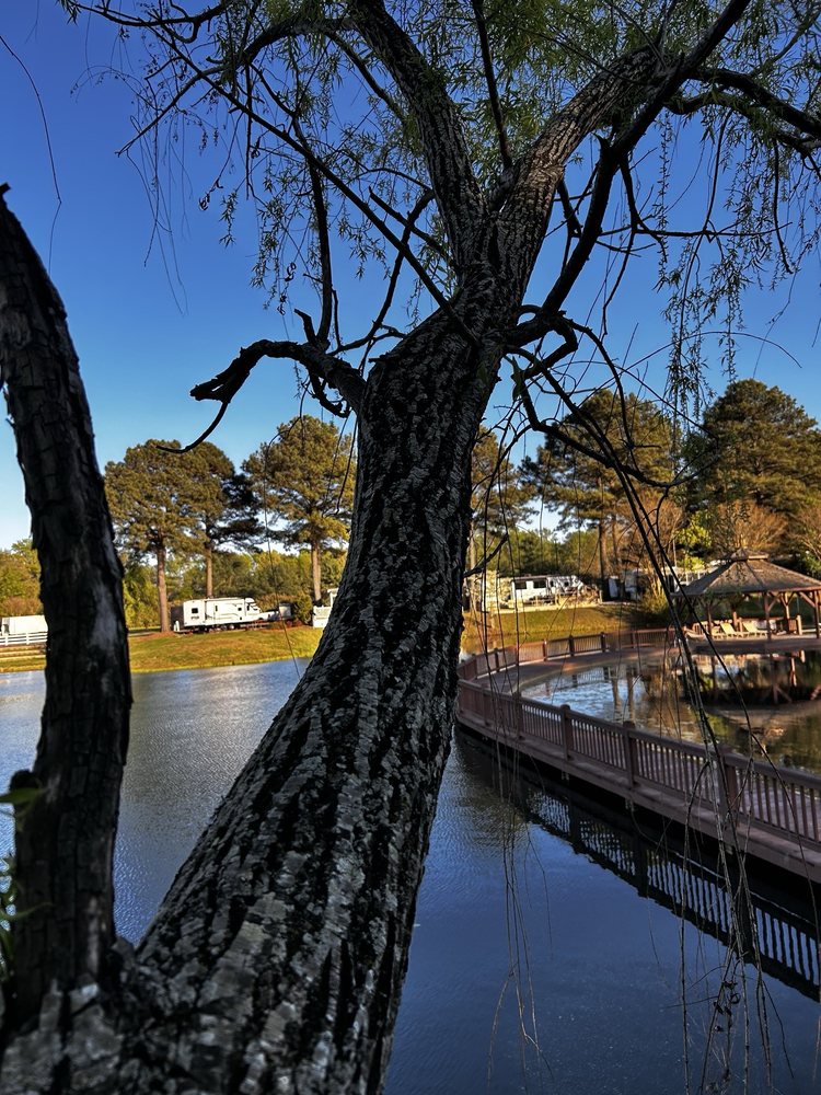 Bethpage Camp Resort Logo