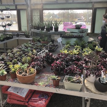 Brookside Farms Nursery - Plants - Nurseries & Gardening Near Me - Ballston Spa, New York