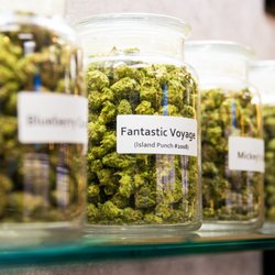 Ponderosa Dispensary