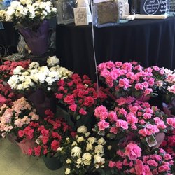Thrifty Florist - Azalea's at Mother's Day...