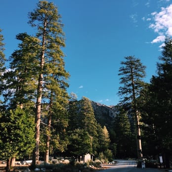 Mount Baden-Powell Trail - How nice it was that morning at 8am. - Hiking Near Me Mount Baden-Powell Trail - How nice it was that morning at 8am. - Hiking Near Me