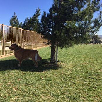 Yanks RV Resort - Shade for dogs - RV Parks Near Me - Greenfield, California Yanks RV Resort - Shade for dogs - RV Parks Near Me - Greenfield, California