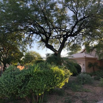 Desert Valley Tree Service - Tree Services Near Me