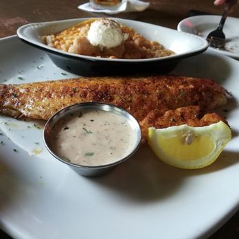 Half Shell Oyster House - Blackened Red fish with sweet potato brule - Seafood Near Me - Biloxi, Mississippi Half Shell Oyster House - Blackened Red fish with sweet potato brule - Seafood Near Me - Biloxi, Mississippi