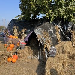 Sidhu Farms - Dragons lair for kids to go inside