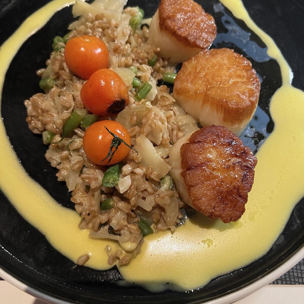 Cirque St. Armands Beachside - Ringside - Diver Scallops with farrow risotto - Seafood Near Me - Sarasota, Florida Cirque St. Armands Beachside - Ringside - Diver Scallops with farrow risotto - Seafood Near Me - Sarasota, Florida