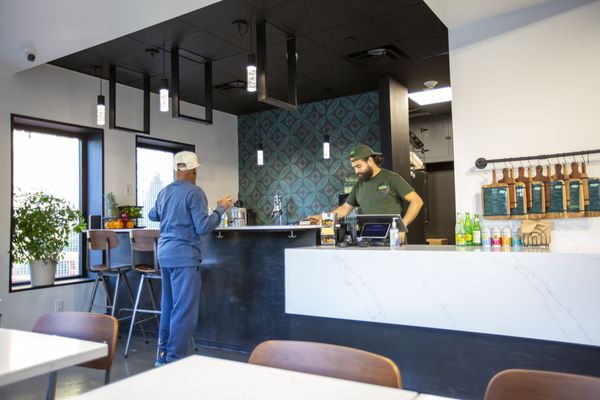 Fresh Food Generation by null