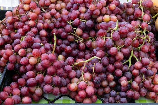 Haggin Oaks Farmers Market by null