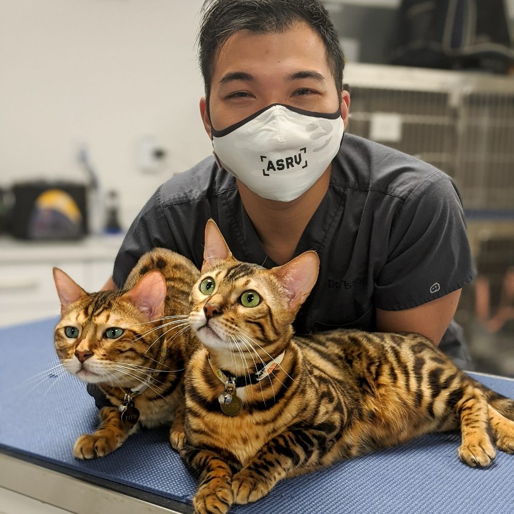 VETERINARY CARE GROUP WILLIAMSBURG Updated September 2024 65 Photos & 33 Reviews 105 S