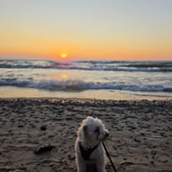 Van Buren State Park