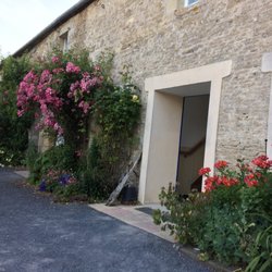 Les Pieris