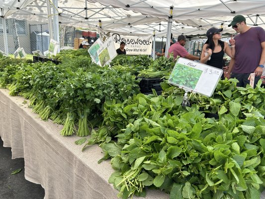 Brentwood Farmers Market by null