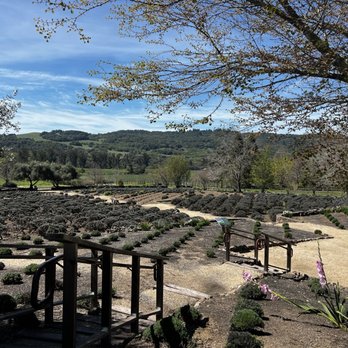Matanzas Creek Winery - Wine Tasting Room Near Me - Santa Rosa, California Matanzas Creek Winery - Wine Tasting Room Near Me - Santa Rosa, California