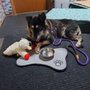 Photo of Special Care