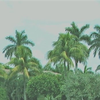 Avalon Estates Club House - Community Centers Near Me - Boynton Beach, Florida