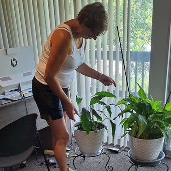 CertiClean Team - Office Cleaning Near Me CertiClean Team - Office Cleaning Near Me