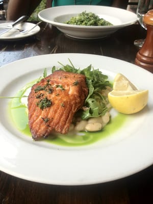 Tribeca Grill by null