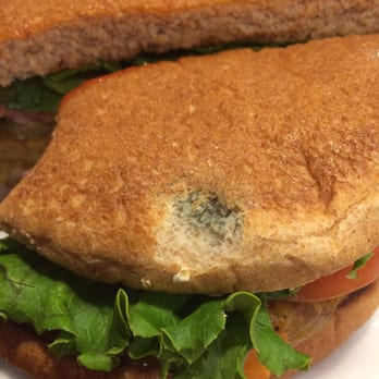 Denny's - Moldy hamburger bun. - Diners Near Me - Miami Gardens, Florida