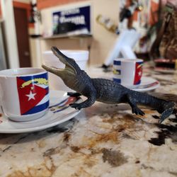 Lily's  Market  Cafeteria - Swampy need some EXPRESSO