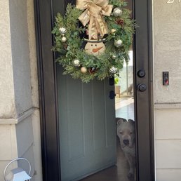 My new security door. And my security dog My new security door. And my security dog