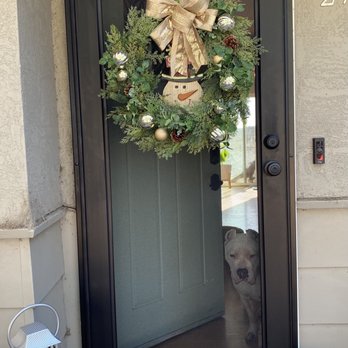 All Screens - My new security door. And my security dog - Door Sales/Installation Near Me - Santa Rosa, California All Screens - My new security door. And my security dog - Door Sales/Installation Near Me - Santa Rosa, California