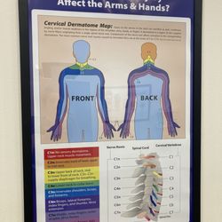 Amazing Life Chiropractic and Wellness - Educational chart