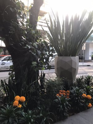 Hippodrome Hotel Condesa by null