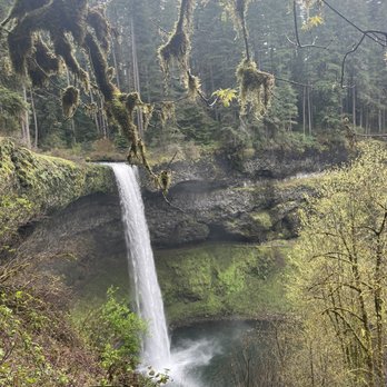 Silver Falls State Park - First waterfalls on the trail. It's huge! Amazing - Hiking Near Me - Sublimity, Oregon Silver Falls State Park - First waterfalls on the trail. It's huge! Amazing - Hiking Near Me - Sublimity, Oregon