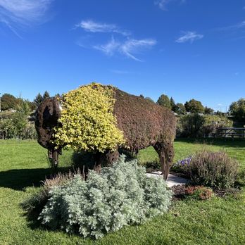 Idaho Falls - Cool buffalo statue near the waterfall - Municipality Near Me - Idaho Falls, Idaho Idaho Falls - Cool buffalo statue near the waterfall - Municipality Near Me - Idaho Falls, Idaho
