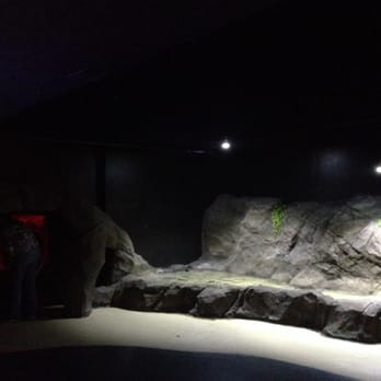 Austin Aquarium - There was only one crab in that open water area - Aquariums Near Me - Austin, Texas