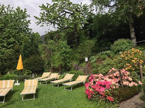 Hotel Alpenblick by null