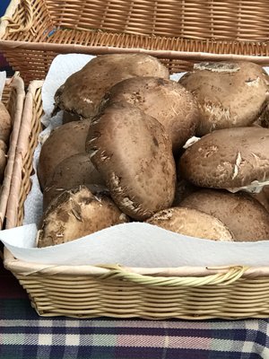Saucon Valley Farmers' Market by null