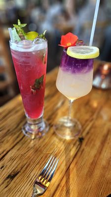 Earth at Hidden Pond by null