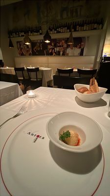 Aurora Capri by null